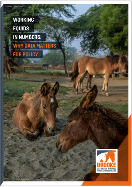 Working equids in numbers: why data matters for policy