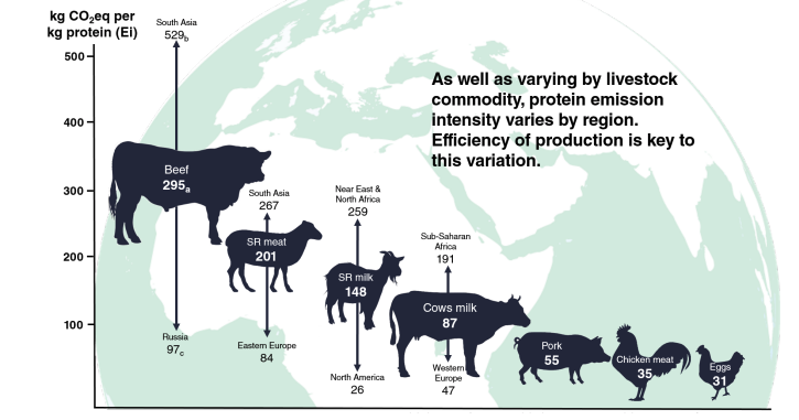 Global average emissions intensities (Ei) for different livestock products